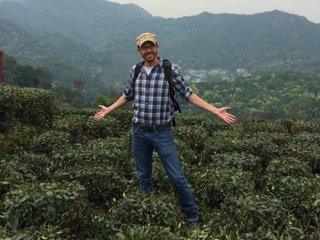 Inmitten der Pflanzen des der Long Jing Grüntte Plantage